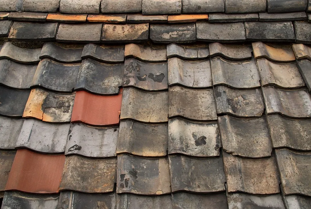 Frost Damage on Roof Tiles: 5 Signs, and Replace or Re-Roof?